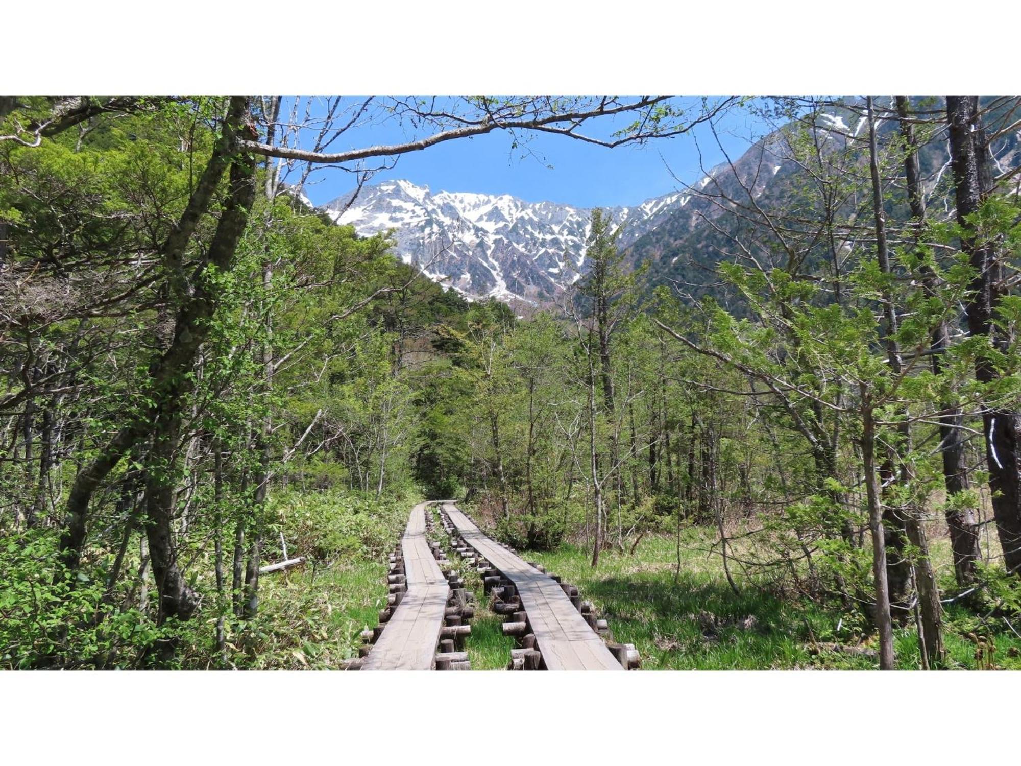 Nakanoyu Onsen Ryokan - Vacation Stay 06697V ماتسوموتو المظهر الخارجي الصورة